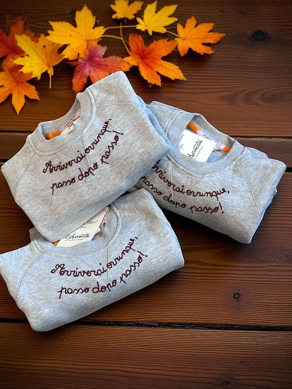 Felpa Avvocata grigia con ricamo a mano bordeaux ππππΎππππΆπΎ πππππππ, π
πΆπππ πΉππ
π π
πΆπππ!